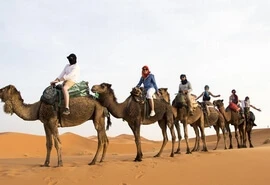 Morocco transport service