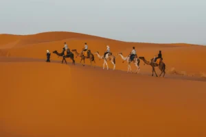 10 giorni nel deserto da fez