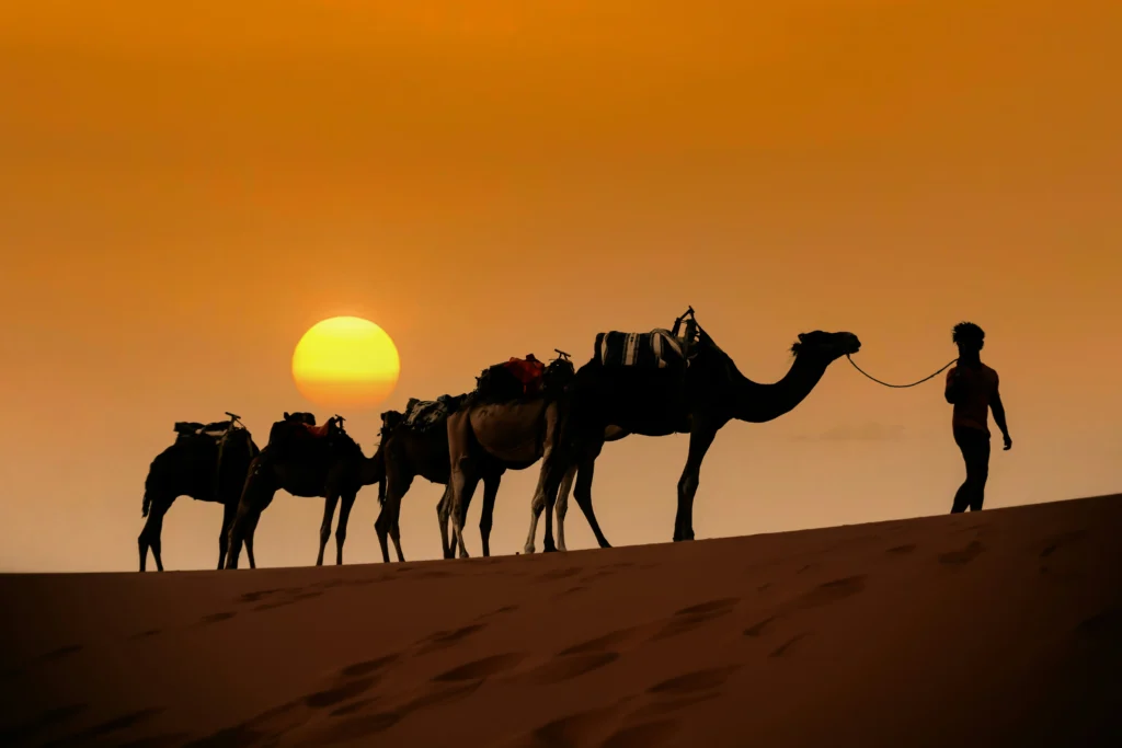 3 Day Desert Tour from Marrakech to Marrakech