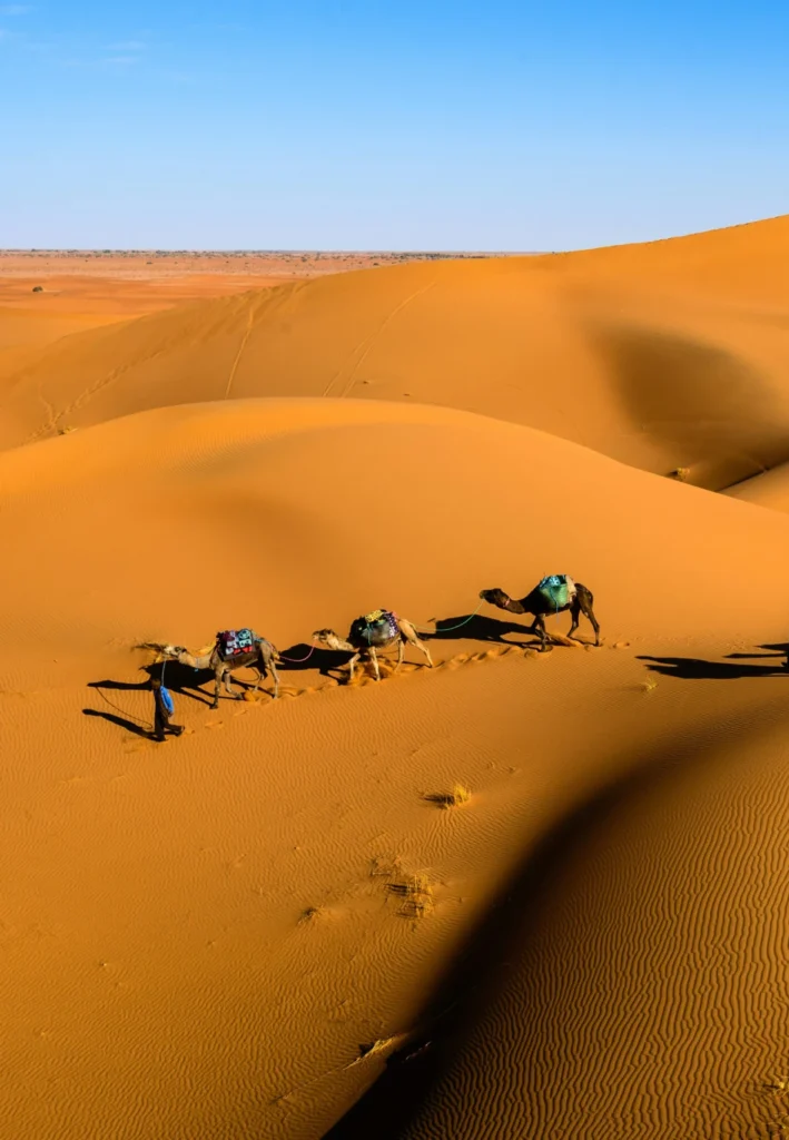 5 Day Desert Tour from Marrakech to Marrakech