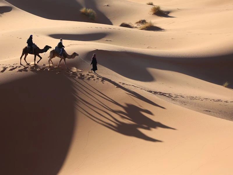 Merzouga desert