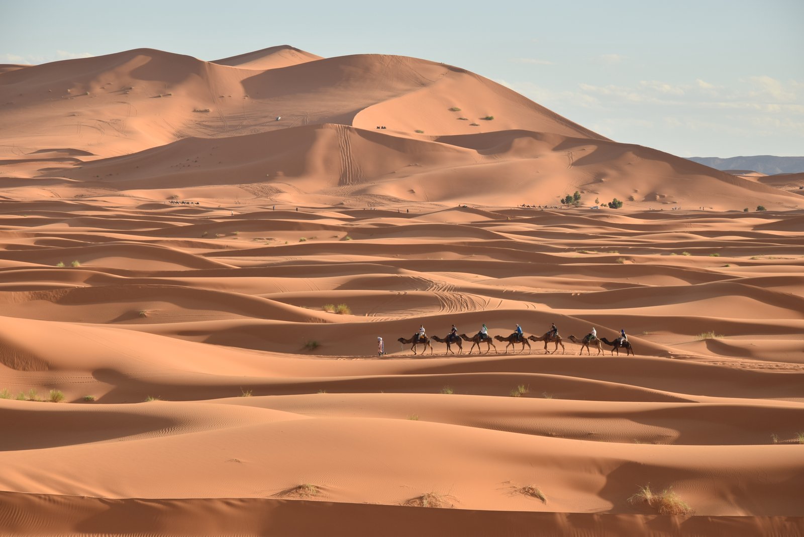 Sahara Desert Camel caravan