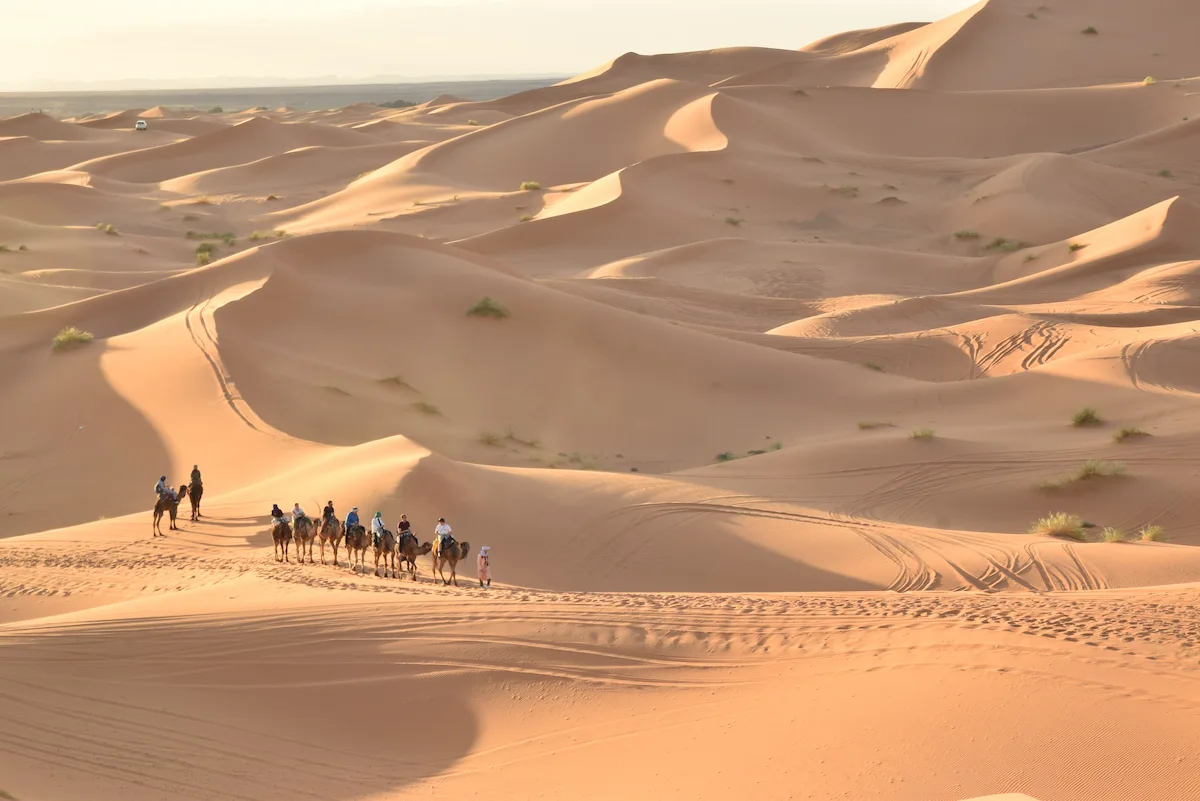Camel Caravan in the Dunes