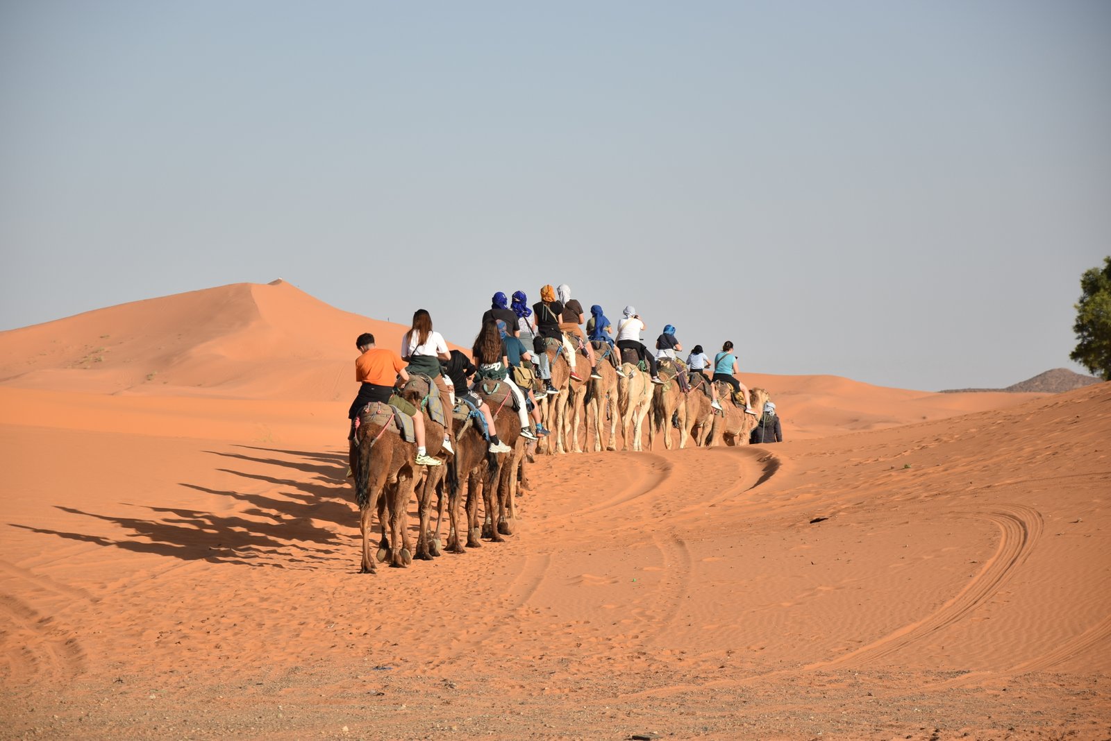 Marrakech or Fes First? A Smart First-Timer's Guide