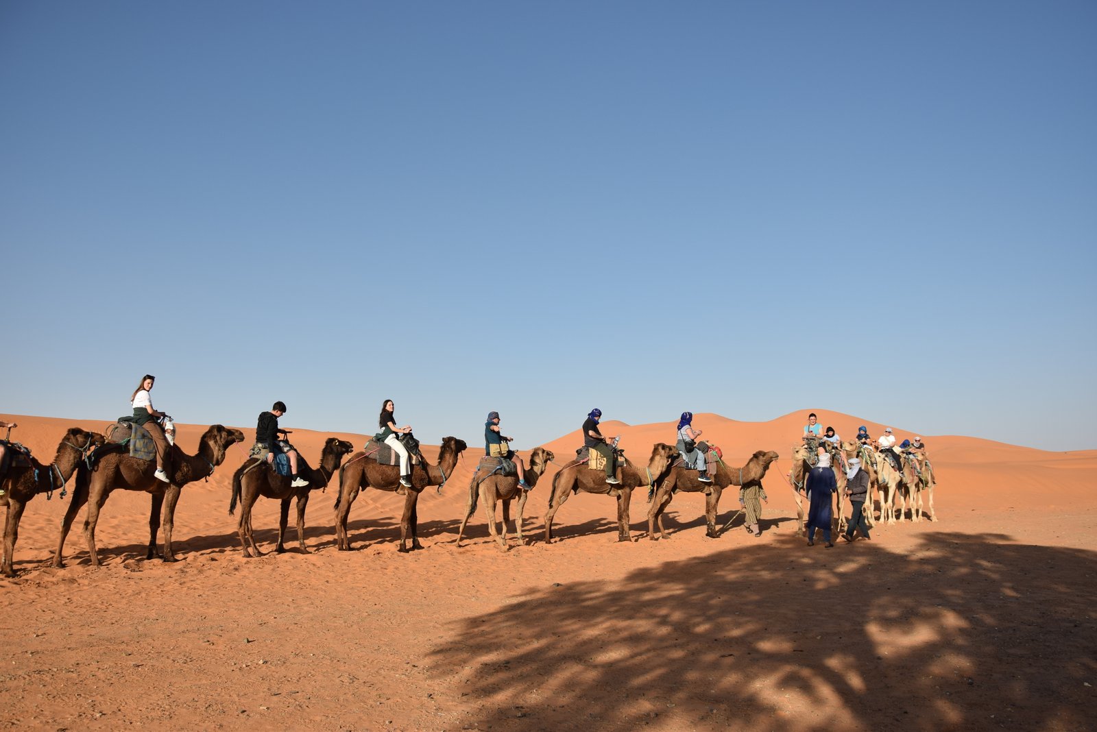 How to Visit Morocco's Sahara Desert: Tours vs Self-Drive