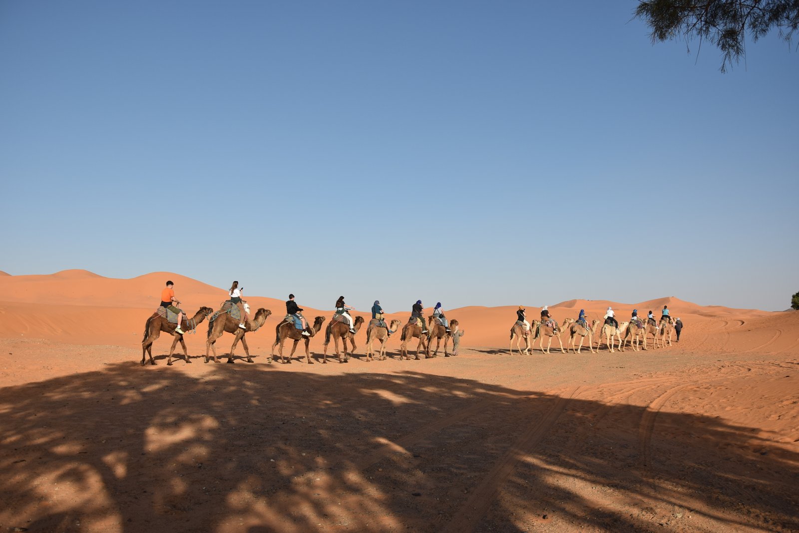 Agafay Desert Morocco: Camps, Day Trips & Marrakech Guide